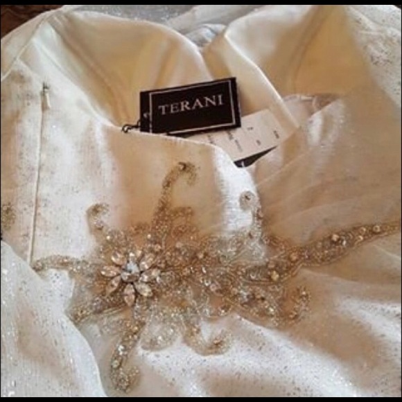 Terani Short Strapless Prom Dress - Worn Once! - Picture 4 of 8